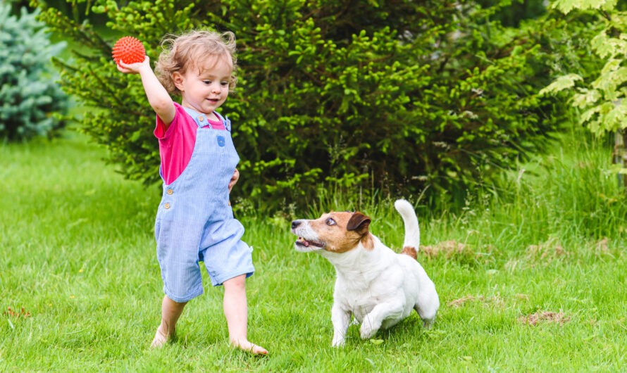 Why sex differences in throwing cannot be explained by socialization alone